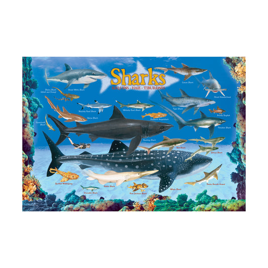 Smart Kids Collection Sharks 100 Piece Puzzle featuring colorful illustrated shark species in ocean scene