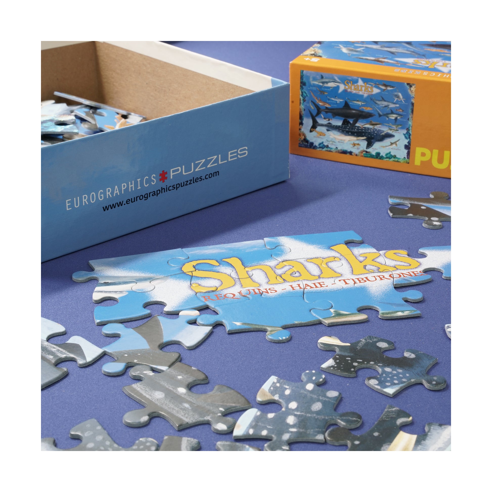 Smart Kids Collection Sharks 100 Piece Puzzle by Eurographics with blue and orange box