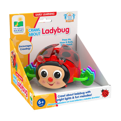 Crawl About Ladybug interactive toy with red shell, smiling face, and green antennae in packaging, for ages 6+ months