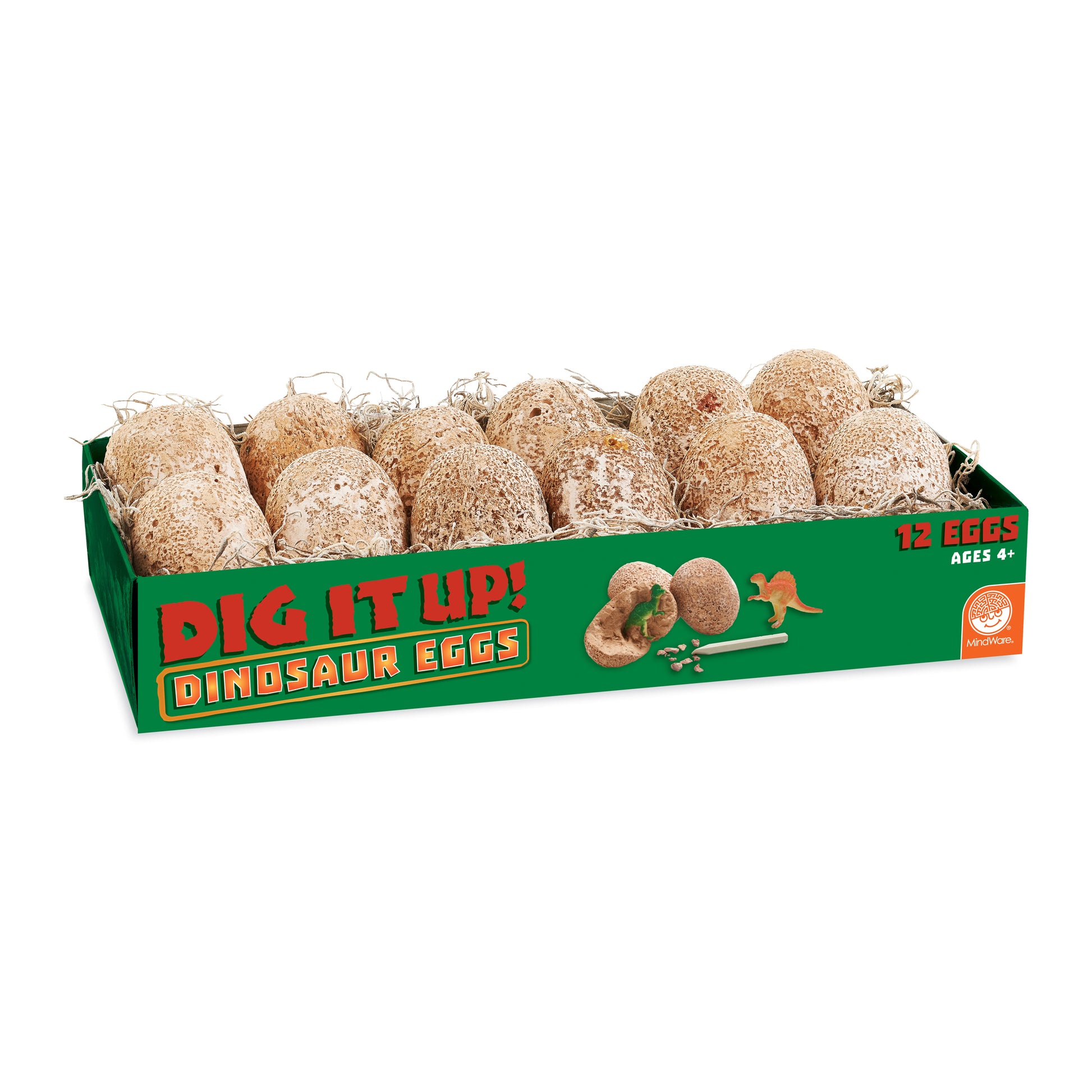 Dig It Up! Dinosaur Eggs 12-pack with excavation tools in green box