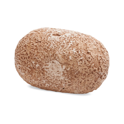 Dig It Up Dinosaur Eggs brown excavation toy with textured surface