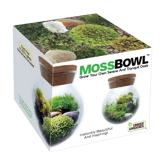 Moss Bowl packaging showing cork planter with growing moss and decorative stones, product displays lush green moss gardens in clear glass containers