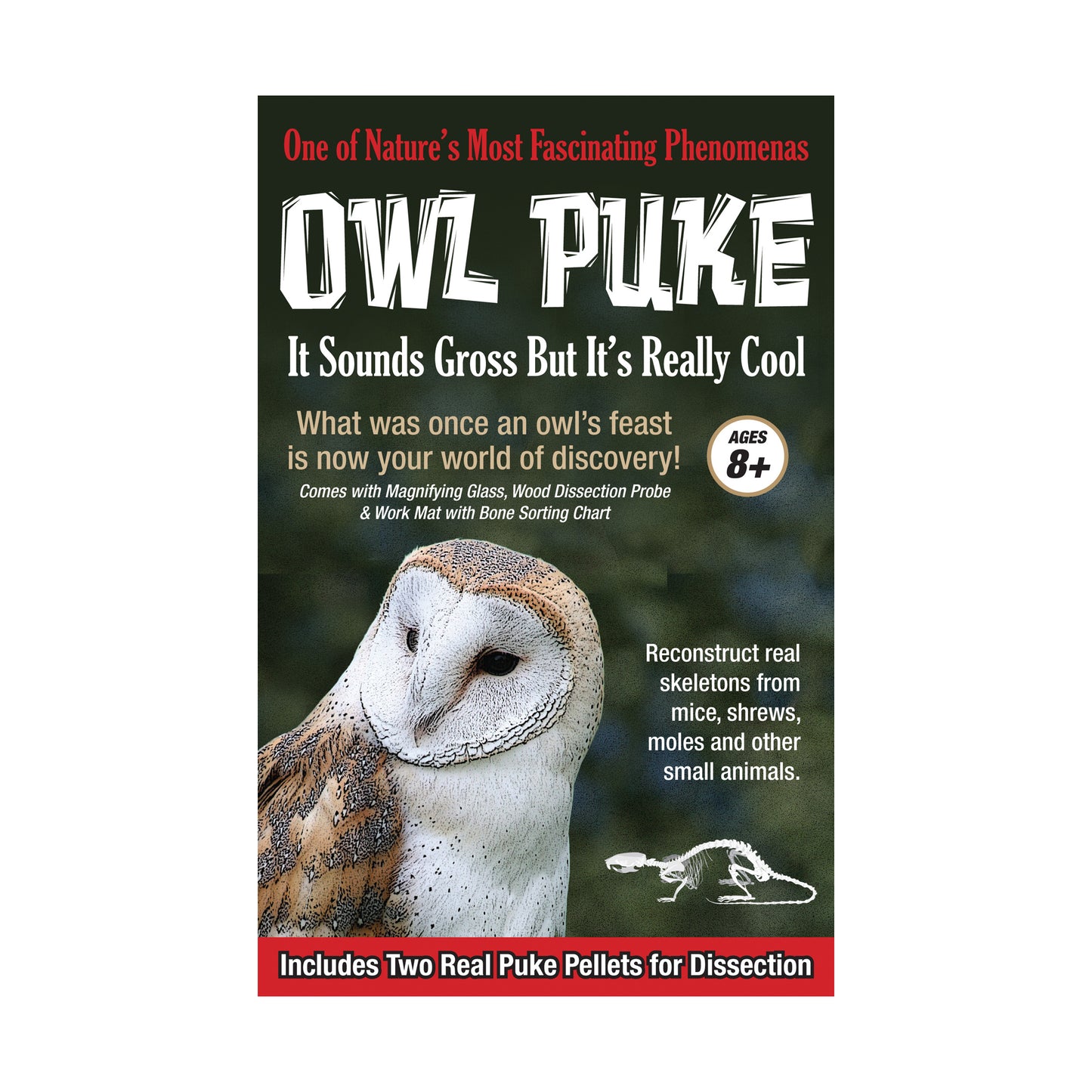 One of Nature's Most Fascinating Phenomena OWL PUKE It Sounds Gross But It's Really Cool. Ages 8+. Includes Two Real Puke Pellets for Dissection. Educational pr