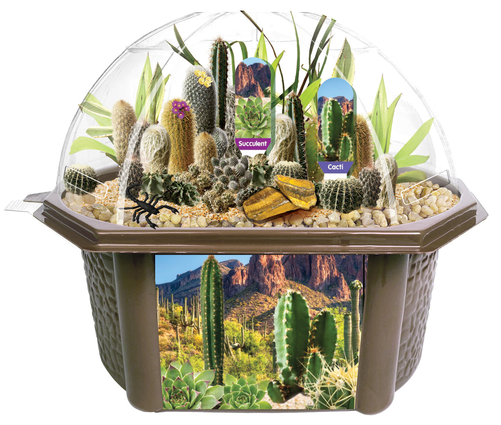Desert biosphere terrarium kit with clear dome top containing cacti, succulents, and decorative desert landscape elements on brown base with educational labels