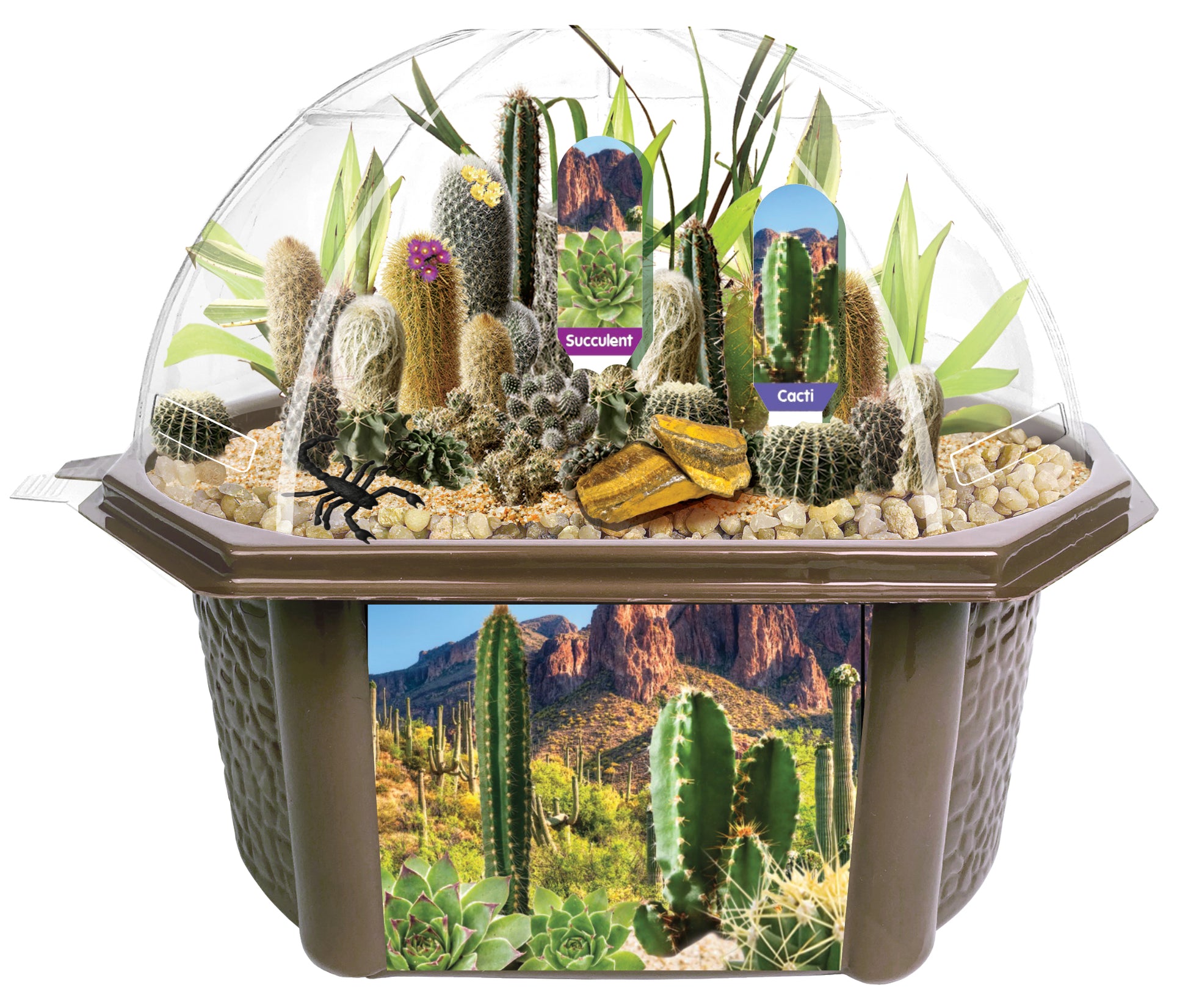 Desert biosphere terrarium kit with clear dome top containing cacti, succulents, and decorative desert landscape elements on brown base with educational labels