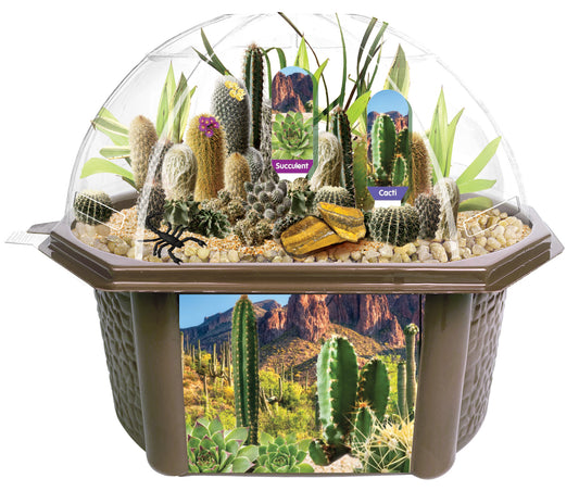 Desert biosphere terrarium kit with clear dome top containing cacti, succulents, and decorative desert landscape elements on brown base with educational labels